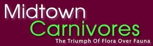 Midtown Carnivores - The Triumph of Flora over Fauna